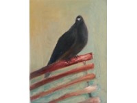 kingly Court pigeon, W1 (Painting on Canvas)